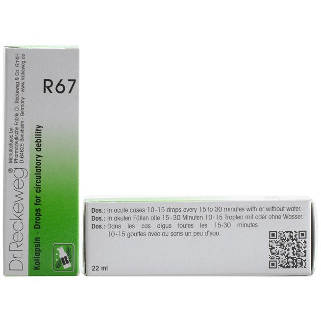 Dr Reckeweg R67 (Kollapsin - Heart Circulatory Debility Drops) (22ml, Pack of 1)