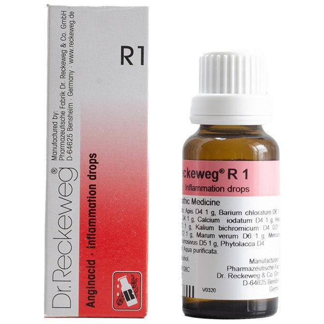Dr Reckeweg R1 (Anginacid-Inflammation Drops) (22ml, Pack of 1)