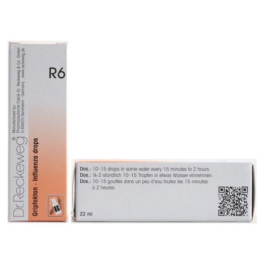 Dr Reckeweg R6 (Gripfektan-Influenza Drops) (22ml, Pack of 1)