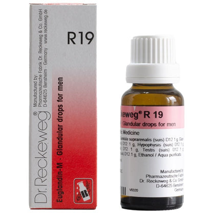 Dr Reckeweg R19 (Euglandin-M-Glandular Drops for Men) (22ml, Pack of 1)