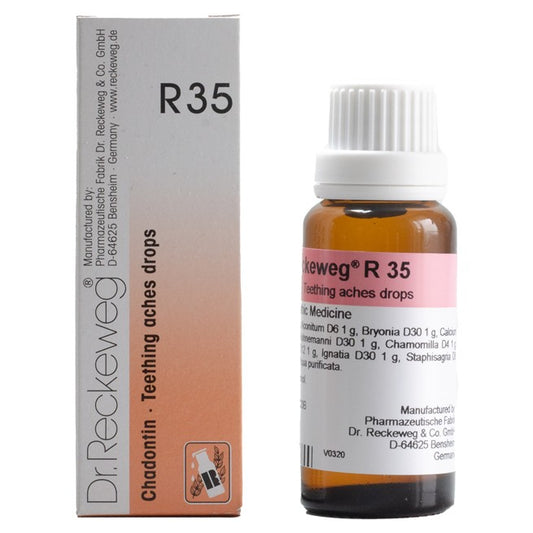 Dr Reckeweg R35 (Chadontin-Teething Aches Drops) (22ml, Pack of 1)