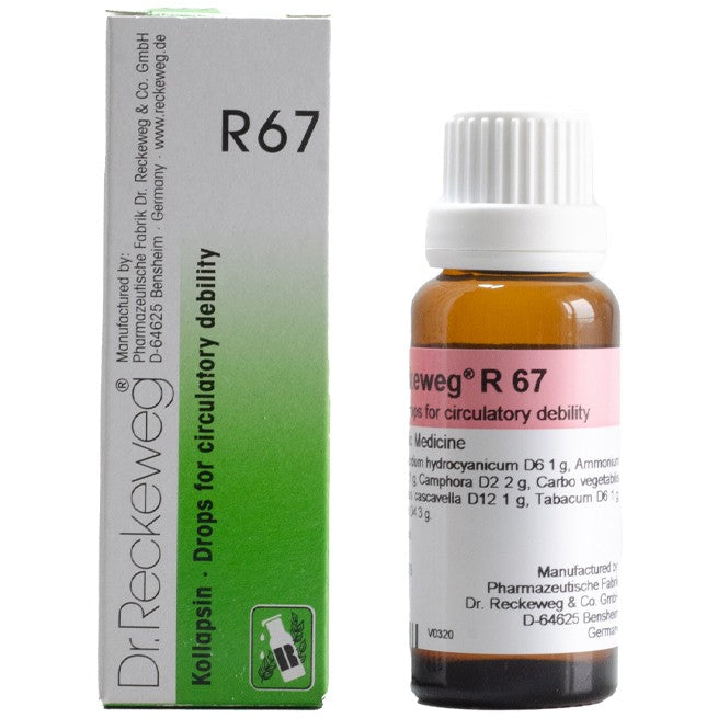 Dr Reckeweg R67 (Kollapsin - Heart Circulatory Debility Drops) (22ml, Pack of 1)