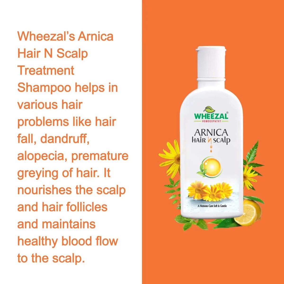 Wheezal Arnica Hair N Scalp Treatment