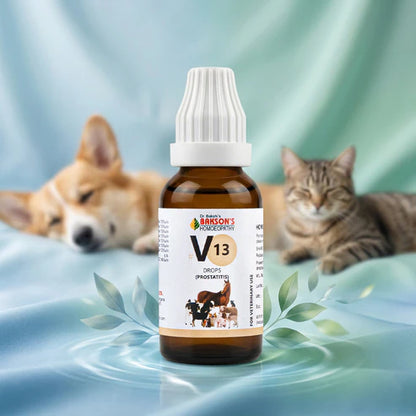 Bakson Veterinary V-13