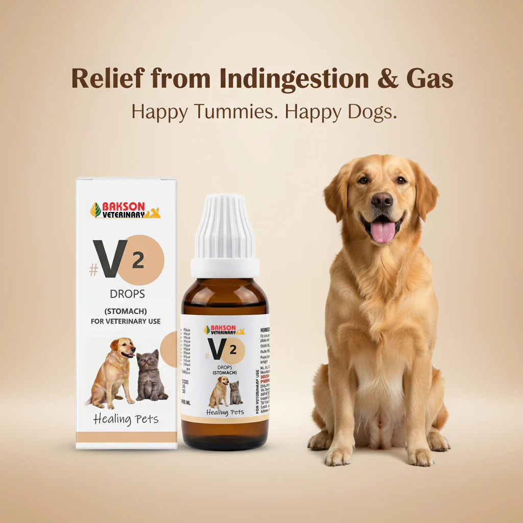 Bakson Veterinary V-2