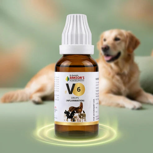 Bakson Veterinary V-6